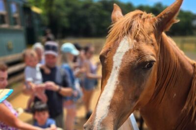 Kauai Hop On Hop Off Tour - Your route: what to do at each stop (and what to skip)