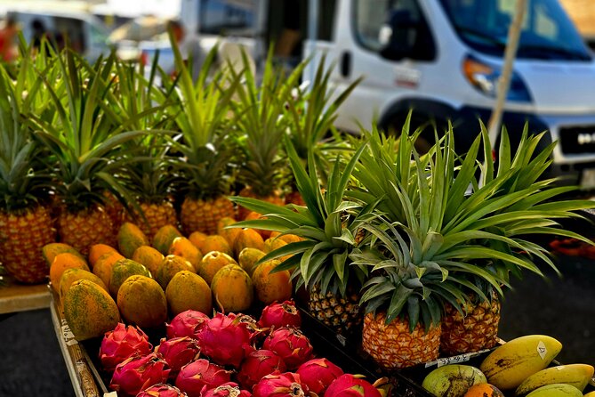 Kauai Hop On Hop Off Tour - Practical tips for a smooth hop-on day