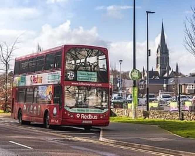 Killarney: Hop-On Hop-Off Bus to Killarney National Park - Key things to know before you go
