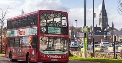 Killarney: Hop-On Hop-Off Bus to Killarney National Park - Ross Castle on Lough Leane: the easiest history hit in Killarney
