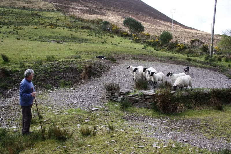 Killarney: Ring of Kerry Bus Tour - Derrynane, Sneem, and the road to Moll’s Gap