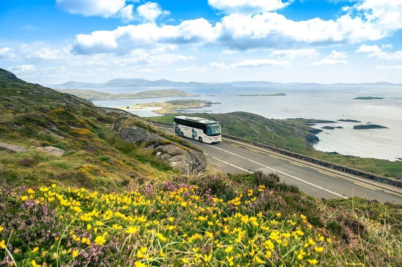 Killarney: Ring of Kerry Bus Tour - Ladies View and Killarney National Park: the final wow and wildlife chances