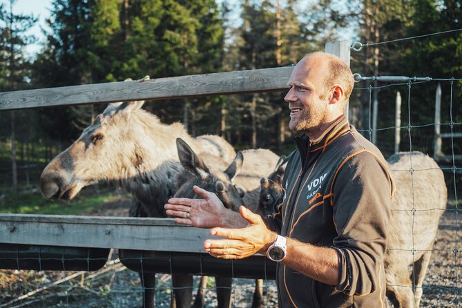 Kristiansand Guided Bus Tour and Moose Park Experience - Stop 2 at Viltgården: farm storytelling before the corral