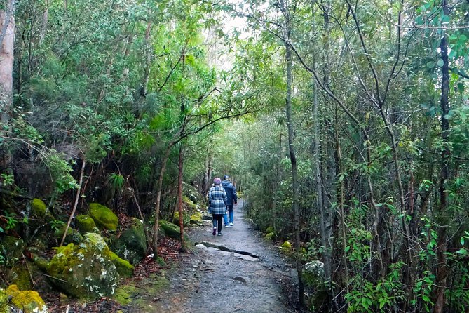kunanyi/Mt Wellington Tour & Hobart Hop-On Hop-Off Bus - Hobart by Red Decker: the stops that save you real time