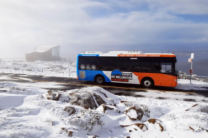 kunanyi/Mt Wellington Tour & Hobart Hop-On Hop-Off Bus - Who should book this Kunanyi + Hobart bus bundle