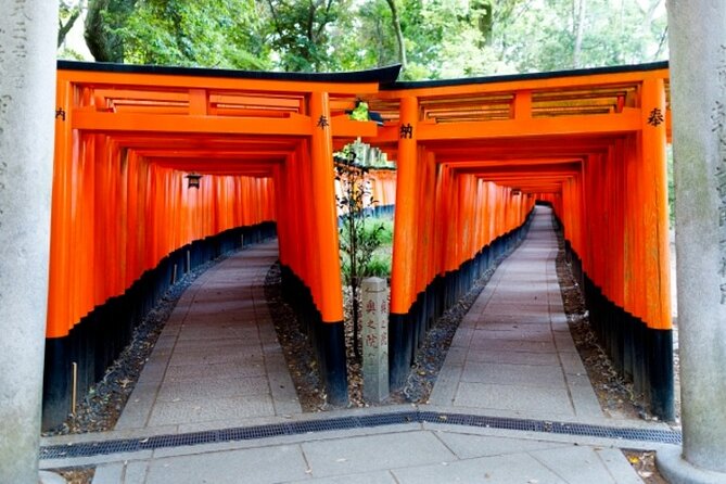 Kyoto 1 Day Golden Route Bus Tour - Lunch break in Kyoto style (full day only)