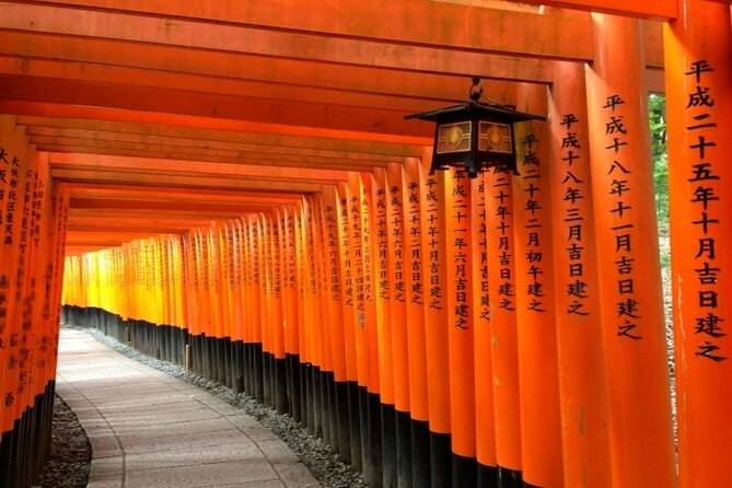 Kyoto 1 Day Golden Route Bus Tour - Tenryu-ji and Arashiyama bamboo: 2 hours of walking beauty