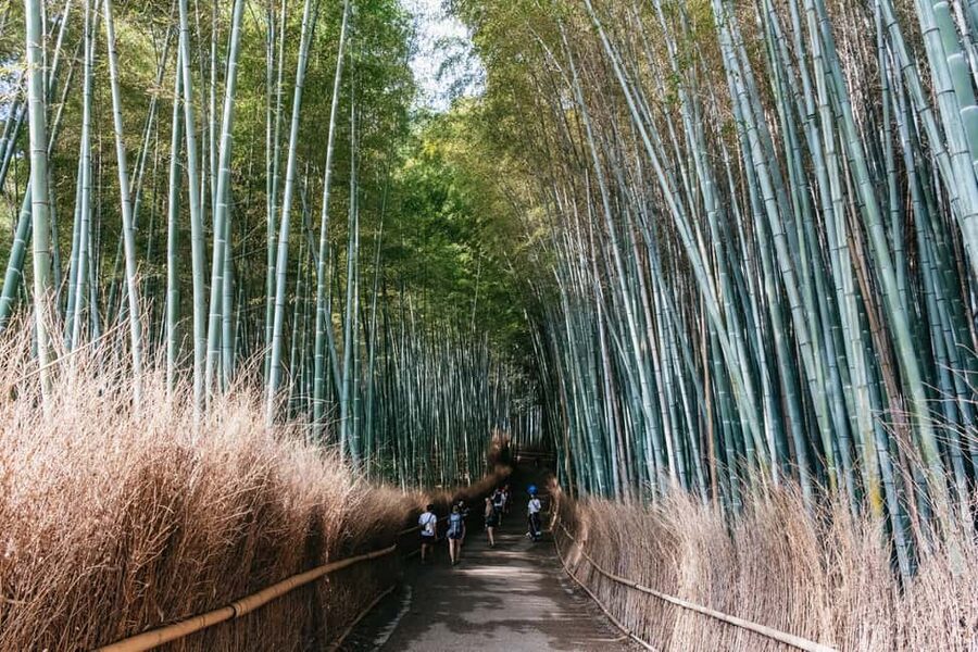 Kyoto: Full-Day Guided Bus Tour to Top Highlights & Tickets - Golden Pavilion Access Depends on Your Tickets