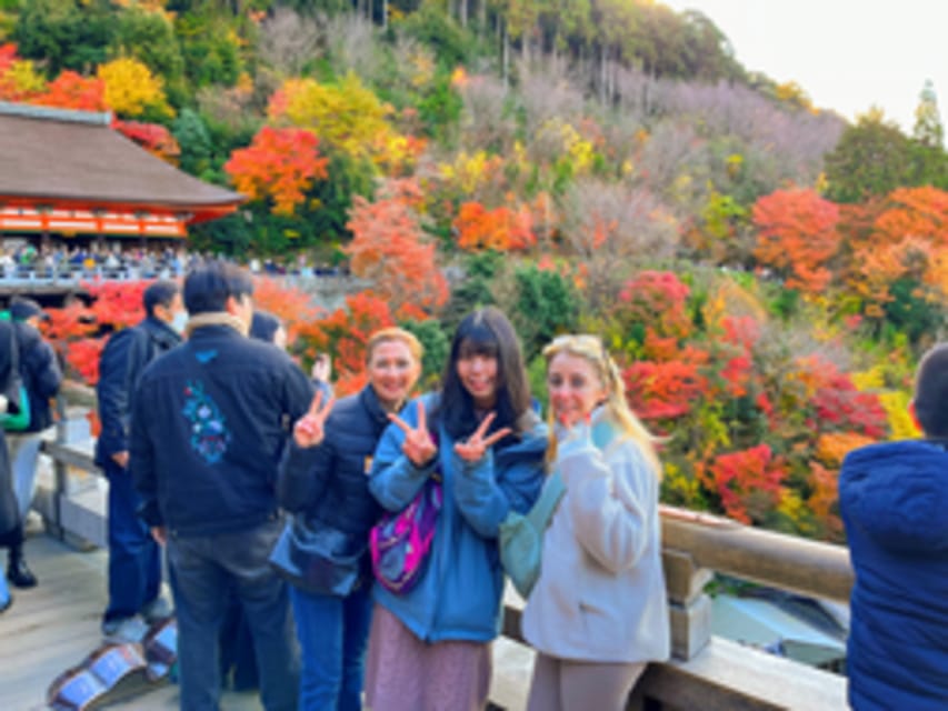 Kyoto: Fushimi Inari, Kinkakuji, Bamboo Grove 1 Day Bus Tour - Sagano Bamboo Forest: a short walk that can feel surprisingly calm