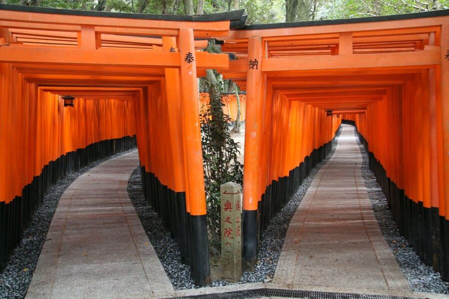 Kyoto: Fushimi Inari, Kinkakuji, Bamboo Grove 1 Day Bus Tour - Timing and meeting at Tully’s Coffee (Kyoto Avanti)