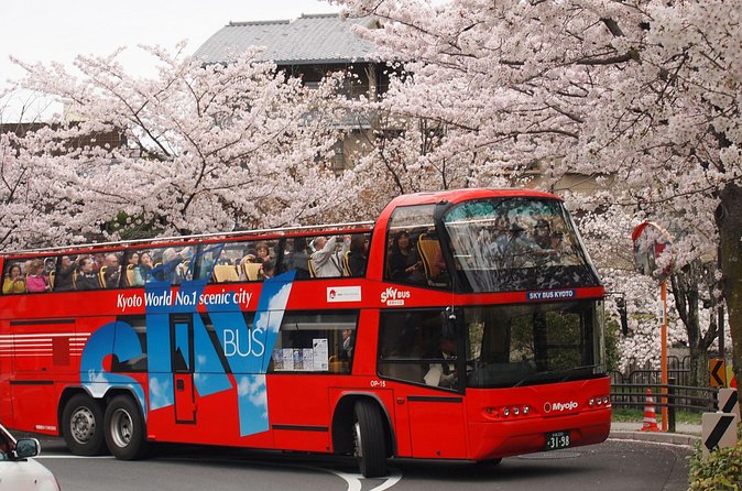 Kyoto Hop-On, Hop-Off Sightseeing Bus Tour - Price and logistics: value vs. schedule reality