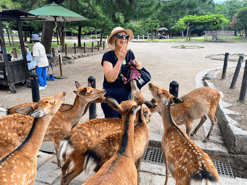 Kyoto: Nara & Traditional Matcha Experience Bus Tour - Quick hits you can use