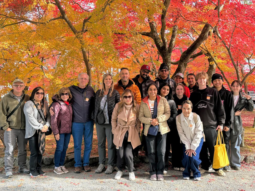 Kyoto: Nara & Traditional Matcha Experience Bus Tour - Nara Park deer: the fun is real, so handle it the right way