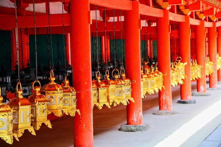 Kyoto: Nara & Traditional Matcha Experience Bus Tour - Kasuga Taisha’s lantern field: atmosphere over speed