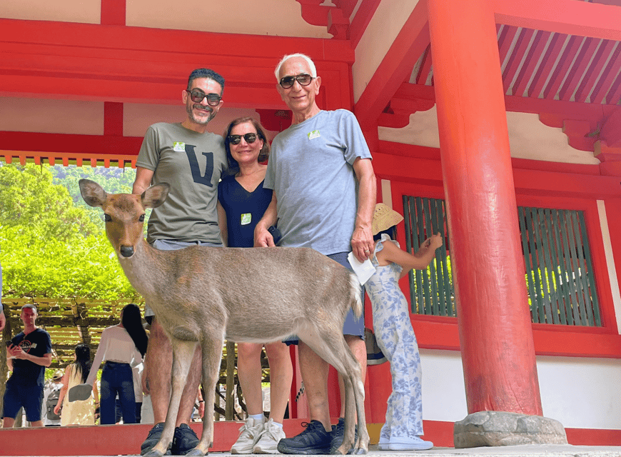 Kyoto: Nara & Traditional Matcha Experience Bus Tour - Lunch in the middle: what it’s for and how to use it
