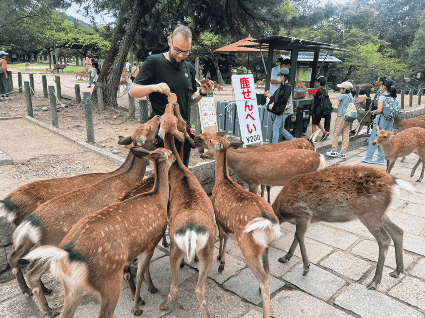 Kyoto: Nara & Traditional Matcha Experience Bus Tour - Byōdoin Temple and the Phoenix Hall: why that 10 yen coin matters