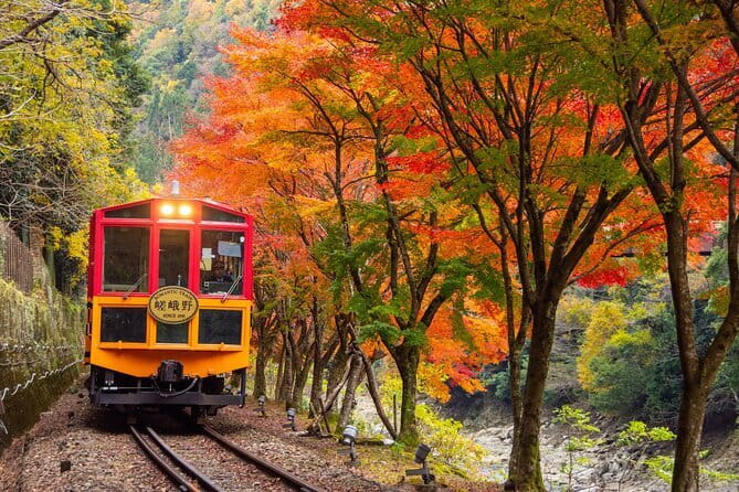 Kyoto Sagano Romantic Train in Arashiyama Bus Tour - Sagano Romantic Train: the short ride that sets the tone