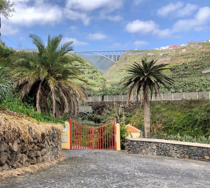 La Palma: North Island Bus Tour with Ron Aldea Distillery - Key Highlights to Know Before You Go