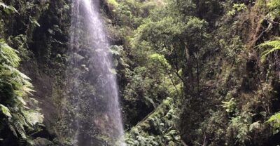 La Palma: North Island Bus Tour with Ron Aldea Distillery - Mirador de la Montaña: The View, the Legend, and Why It Works