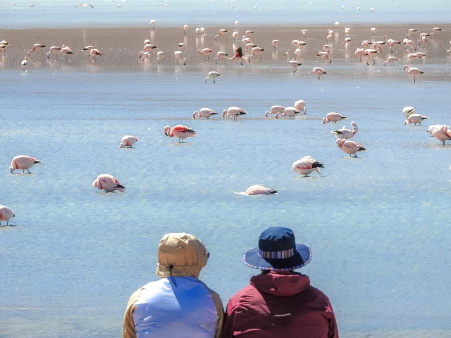 La Paz: Uyuni Salt Flats & Isla Incahuasi 5-Day Bus Tour - FAQ