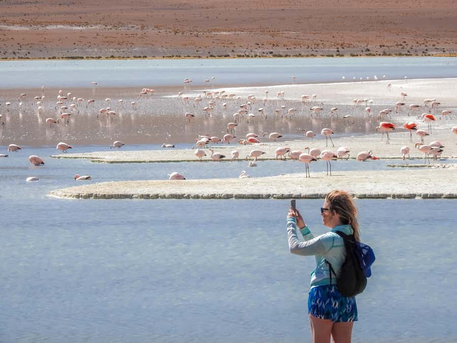 La Paz: Uyuni Salt Flats & Isla Incahuasi 5-Day Bus Tour - Should you book La Paz to Uyuni Salt Flats and Incahuasi?