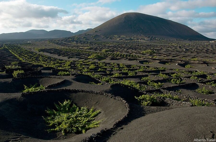 Lanzarote: Full Day Bus Tour with Scenic Views - Key Highlights You’ll Actually Care About