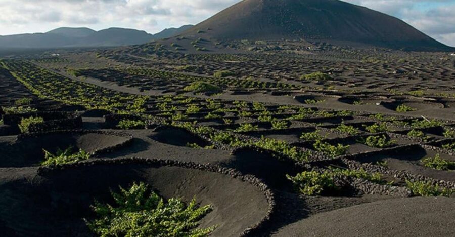 Lanzarote: Full Day Bus Tour with Scenic Views - The Value Pitch: Why $102 Feels Reasonable for This Much Island Time