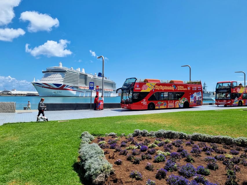 Las Palmas: City Sightseeing Hop-On Hop-Off Bus Tour - Should you book Las Palmas City Sightseeing?