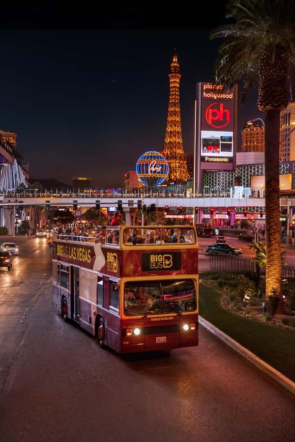 Las Vegas: Neon Museum Experience & Vegas Open-Top Bus Tour - Price and Value: Does $84 Make Sense for You?