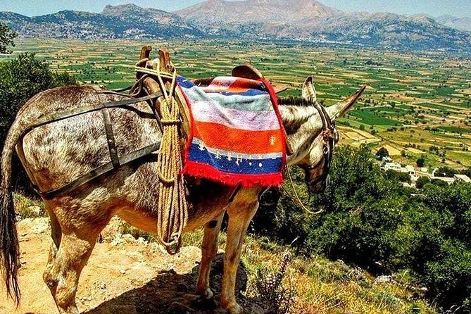LASSITHI & KNOSSOS CRETE, full day professional guided coach tour - Price and value: what $62.72 covers, plus the realistic add-ons