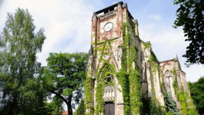 Leipzig: Hop-On-Hop-Off Bus Tour & City Walk - Where the bus takes you: Markkleeberger Lake and major landmark stops