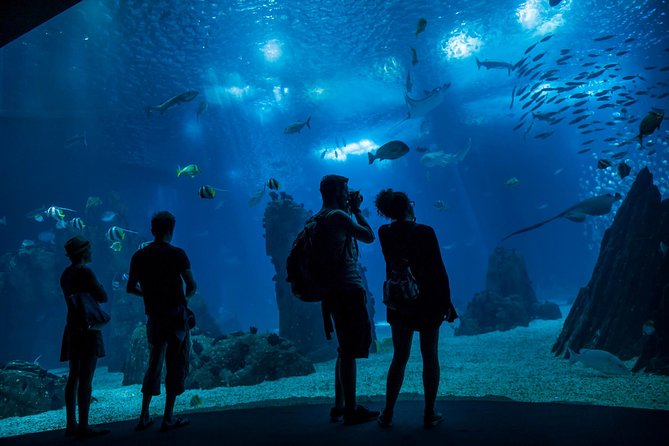 Lisbon Hop-On Hop-Off Bus and Boat Tour with Oceanário Ticket - Key highlights to know before you go