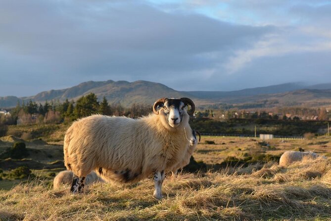 Loch Ness and the Highlands Experience Bus Tour from Edinburgh - Key highlights worth planning around