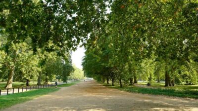 London: 24-Hour Hop-On Hop-Off Bus Pass - Boarding strategy: where to start (Marble Arch or Piccadilly)