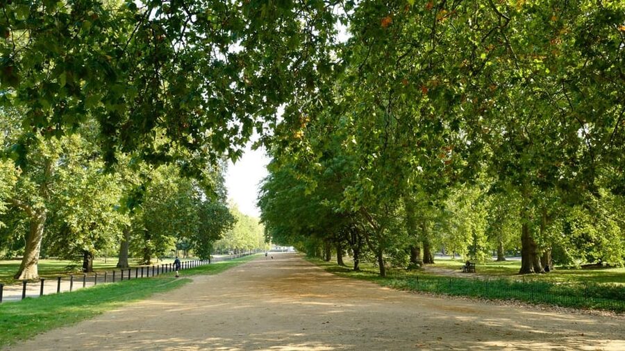 London: 24-Hour Hop-On Hop-Off Bus Pass - Boarding strategy: where to start (Marble Arch or Piccadilly)
