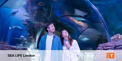 London City pass: Top attractions, Hop on Hop off & tours - Royal palaces and fortress time: Tower of London, Hampton Court, Kensington Palace