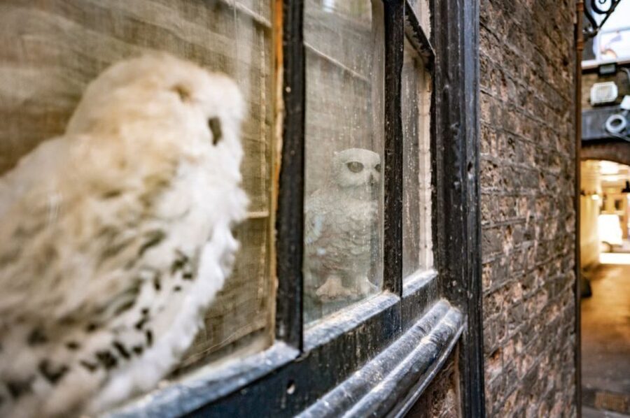London: Harry Potter Walk, Hop-on Hop-off Bus Tour & Cruise - Key things to know before you go