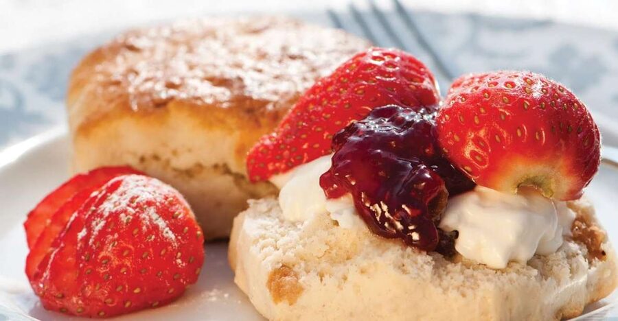 London Vintage Bus Tour and Cream Tea at Harrods - Who This Tour Suits Best (and Who Should Skip It)