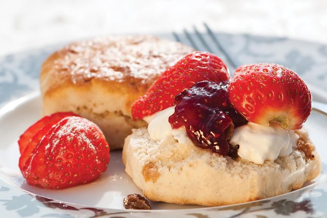 London Vintage Bus Tour with Cream Tea at Harrods - Who this tour fits best