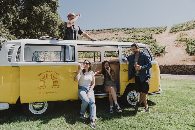 Los Angeles: Private Vintage VW Bus Tour in Malibu - Native Wildlife and Overlook Moments: How the Best Stops Usually Work