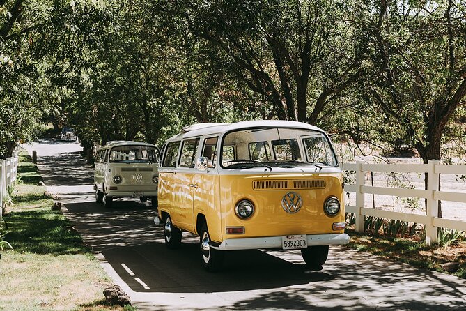 Los Angeles: Private Vintage VW Bus Tour in Malibu - The Private Guide Effect (and Why Up to 6 People Matters)