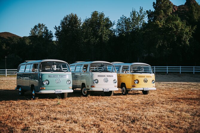 Los Angeles: Private Vintage VW Bus Tour in Malibu - What to Wear and Bring for a 3-Hour Malibu Day