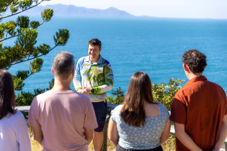 Magnetic Island: Guided Bus Tour with Morning Tea - Key highlights worth planning around