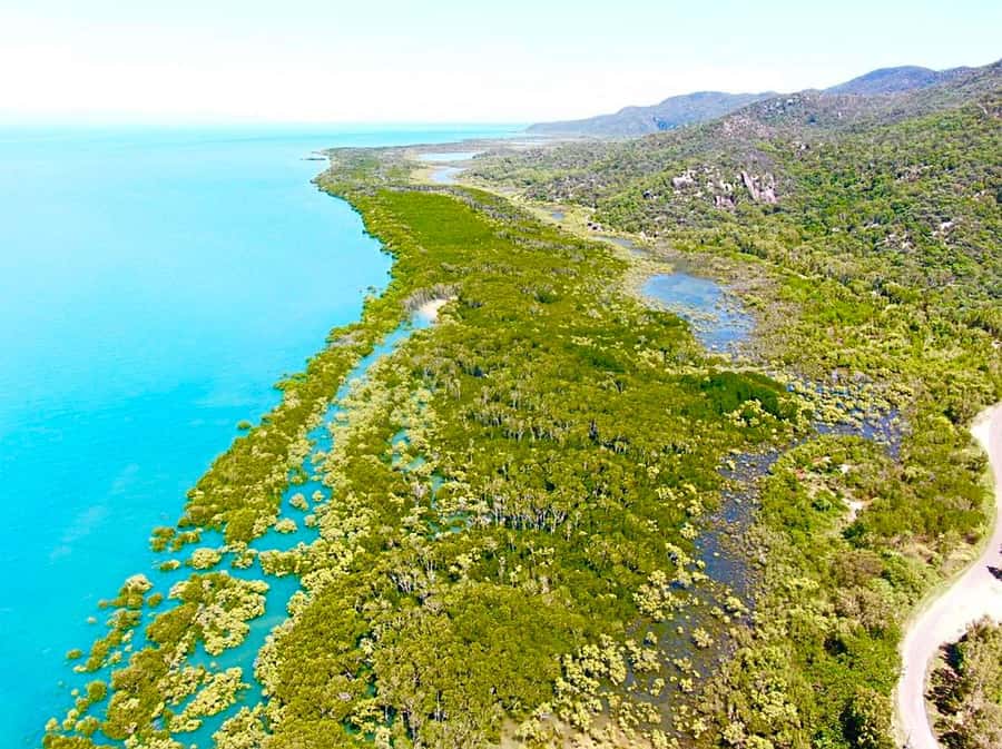 Magnetic Island: West Coast Eco Adventure Bus Tour - Magnetic Island West Coast: the smart way to start your day