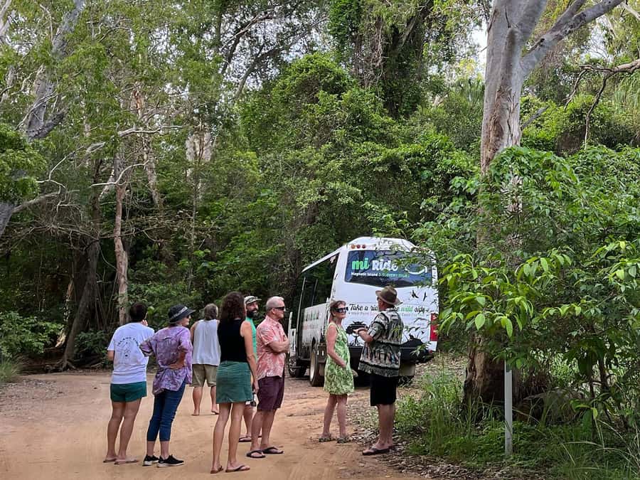 Magnetic Island: West Coast Eco Adventure Bus Tour - Getting on board at Nelly Bay: simple logistics that save stress