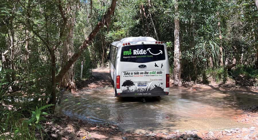Magnetic Island: West Coast Eco Adventure Bus Tour - Picnic Bay and Cockle Bay: guided stops with real context