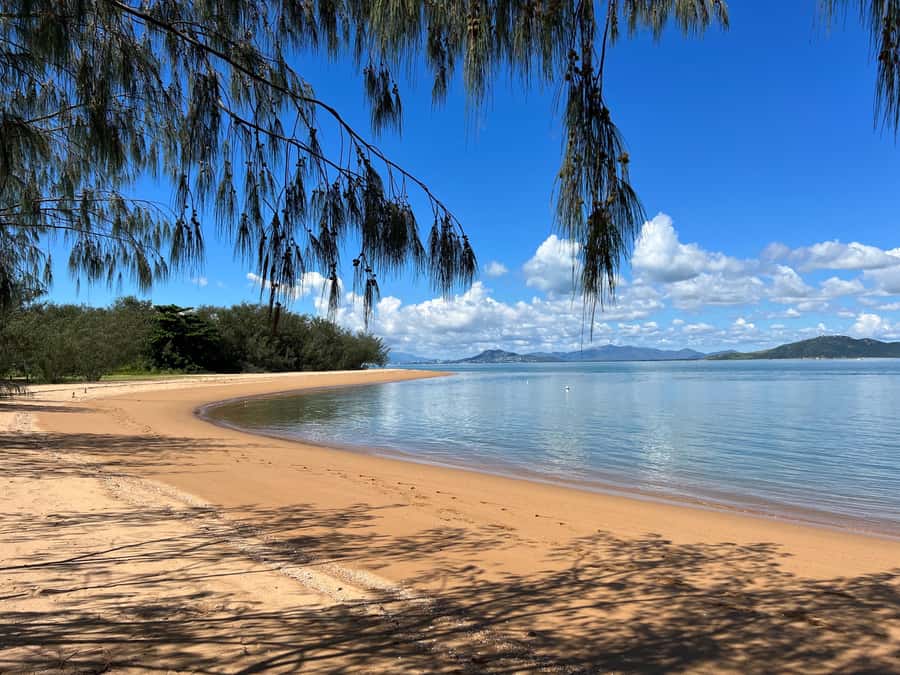 Magnetic Island: West Coast Eco Adventure Bus Tour - Bolger Bay Conservation Park: the short walk that actually teaches