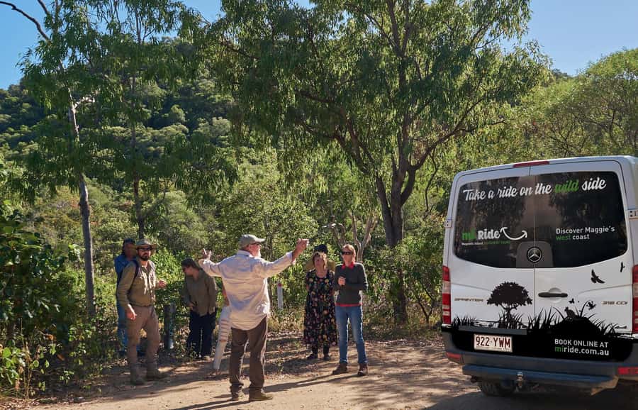 Magnetic Island: West Coast Eco Adventure Bus Tour - Magnetic Island’s west coast wildlife chances: koalas and rock wallabies