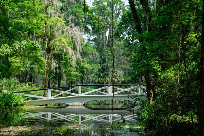 Magnolia Plantation Tour with transportation PLUS City Bus Tour - The smart Charleston combo: Magnolia plus a city “get oriented” bus