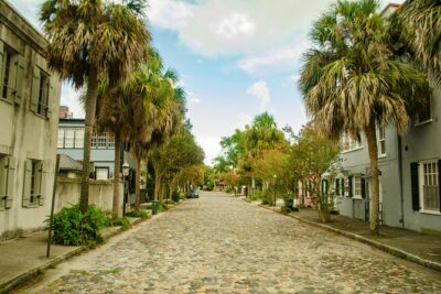 Magnolia Plantation Tour with transportation PLUS City Bus Tour - Price and value: what $124.99 buys you for a full day